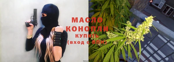стаф Аркадак