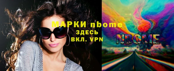 стаф Аркадак